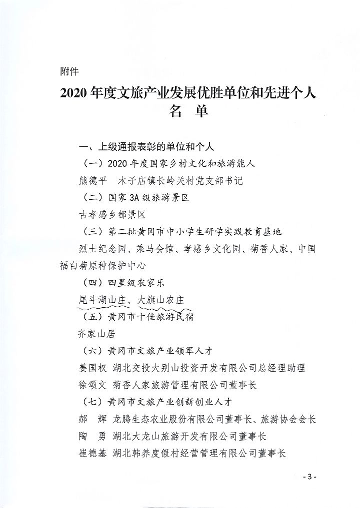 麻城市2020年度文旅優(yōu)勝單位和先進(jìn)個(gè)人表彰2.jpg